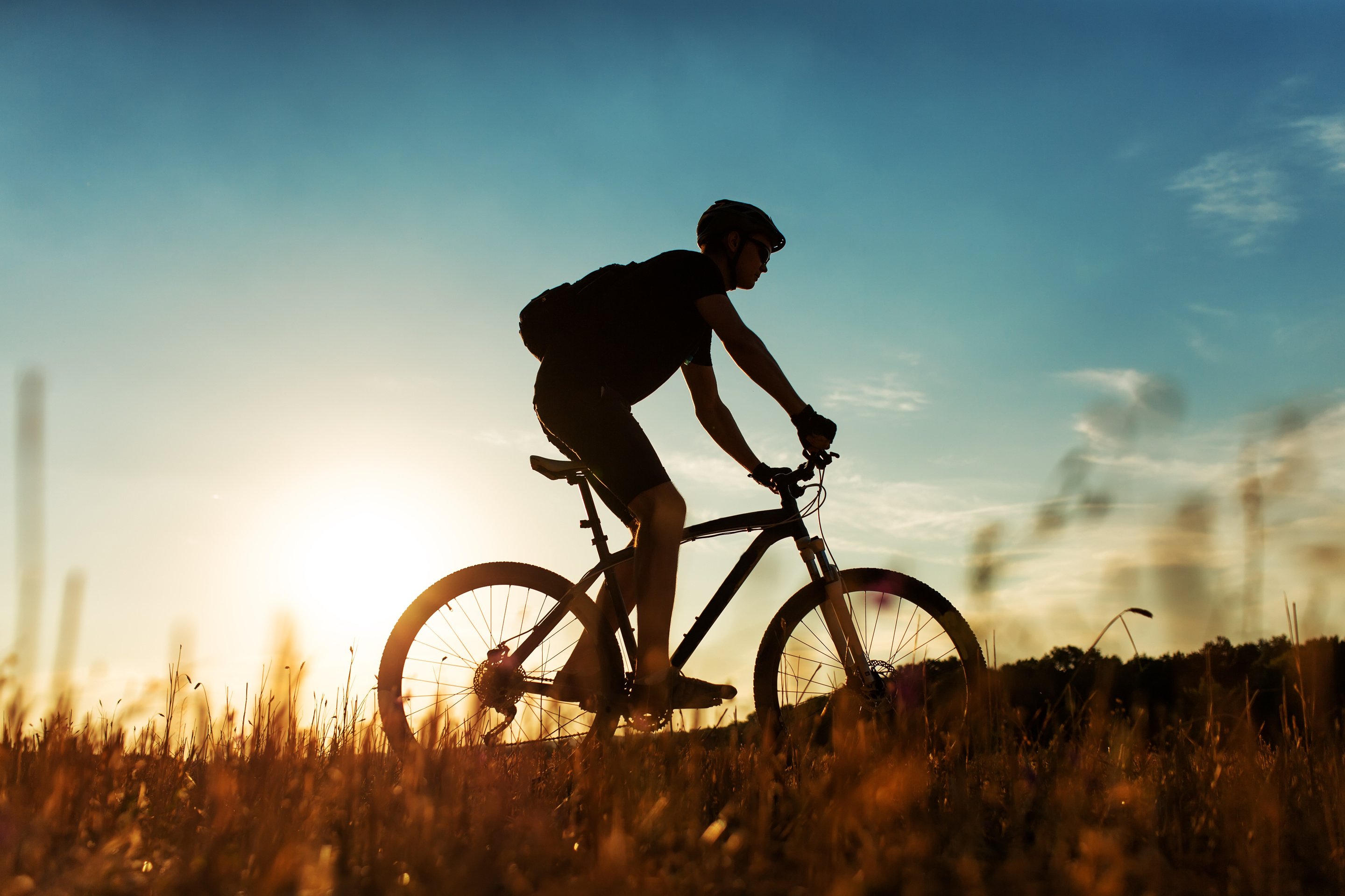 Rider on Mountain Bicycle it the field