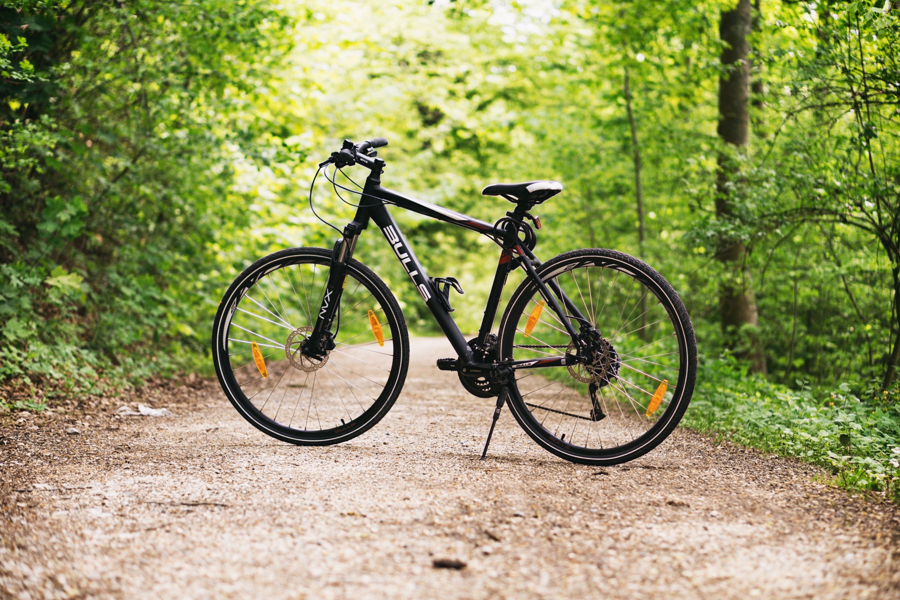 Bike in Forest path